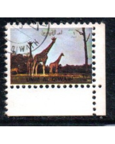 Um Al Qivaim - Girafa 37.762 Carimbado