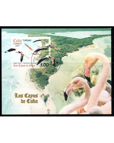 Cuba Bloco Flamenco Carimbo CTO 2007 - 37.771