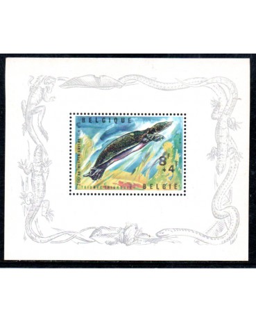 Tartarugas Bélgica Bloco 37.816 Mint