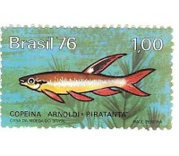 C940 N - PEIXES DE ÁGUA DOCE - PIRATANTÃ 1976 - NOVO  2974