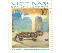 VIETNAM - CARIMBADO 30 CX  3002