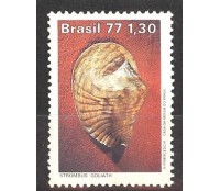 C993 - MOLUSCOS. MINT 3104 