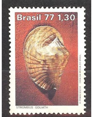 C993 - MOLUSCOS. MINT 3104 