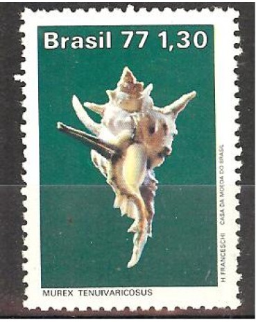 C994 - MOLUSCOS. - NOVO 3105 1977