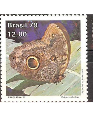 C1100 BORBOLETAS - EURILOCHUS 3261 Novo