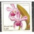 C1162 ORQUÍDEA CATTLEYA - N