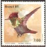 C1197 - BEIJA-FLORES - TOPETINHO - NOVO 3399 - 1981