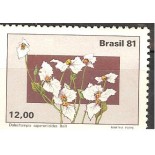 C1218 - FLORES DO P.CENTRAL - DALECHAMPIA  3426 MINT