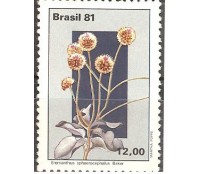 C1220 - FLORES DO P.CENTRAL - EREMANTHUS - NOVO 3430
