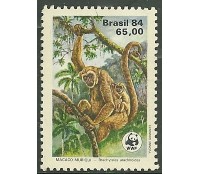 C1401  FAUNA BRASILEIRA - MACACO FILHOTE - N