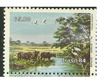 C1403 - BÚFALOS MURRAH - N