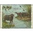 C1404 - BÚFALOS CARABAO - N