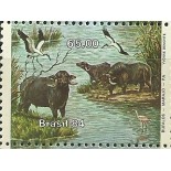 C1404 - BÚFALOS CARABAO - N
