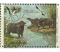 C1404 - BÚFALOS CARABAO - N