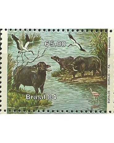 C1404 - BÚFALOS CARABAO - N