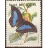 C1514  BORBOLETAS- N..