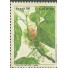C1523  FLORA BRASILEIRA - URTIGÃO 1986  NOVO 3754