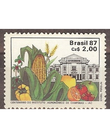 C1553  IAC -  CAMPINAS - SP  -  M