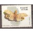 C1555  ENTOMOLOGIA -  JEQUITIRANABOIA - N