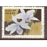 C1573  SOC.BRAS. DE ORQUIDÓFILO  - LAELIA - N