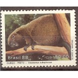 C1592/1988  MAMÍFEROS EM EXTINÇÃO - OURIÇO-PRETO - M 3871