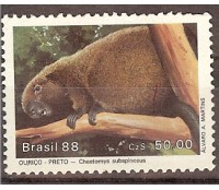 C1592/1988  MAMÍFEROS EM EXTINÇÃO - OURIÇO-PRETO - M 3871