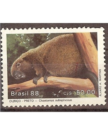C1592/1988  MAMÍFEROS EM EXTINÇÃO - OURIÇO-PRETO - M 3871