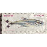 C1610   PEIXES DE ÁGUA DOCE - NEON VERDE - MINT - FC 3895