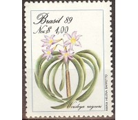 C1632  PRESERVAÇÃO DA FLORA - RABO-DE-GALO - N