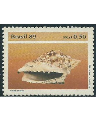 C1645 MOLUSCOS - VOLUTA 1989  MINT 3955