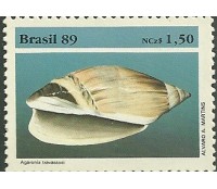 C1647  MOLUSCOS - AGARONIA - MINT 3958