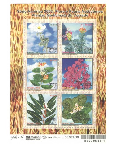 B131 Série América, Plantas Medicinais do Cerrado M 4011