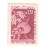 C400 - 100 ANOS DE RIBEIRÃO PRETO - MINT  4600 - 1956