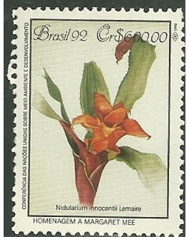 C1805 - MATA ATLÃNTICA - NIDULARIUM - N 5080