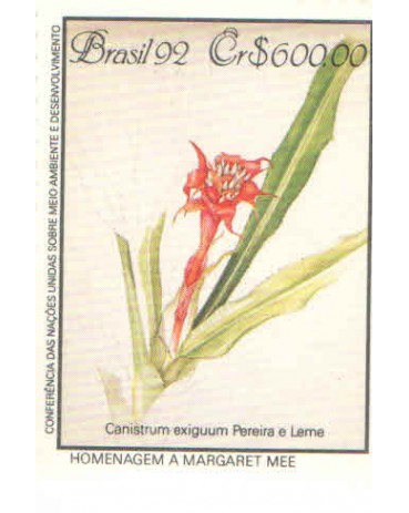 C1806 - MATA ATLÃNTICA - CANISTRUM - N