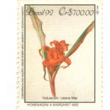 C1807 - MATA ATLÂNTICA - NIDULARIUM 5083 M