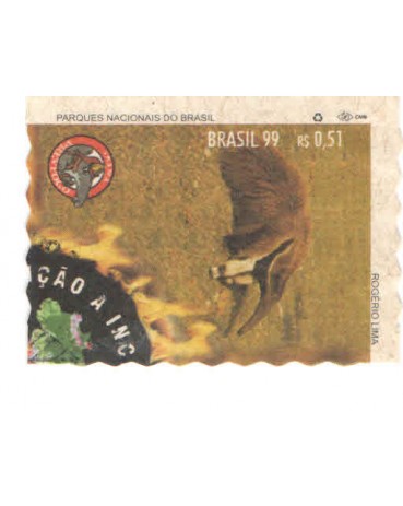 C2203 - INCÊNDIOS FLORESTAIS - TAMANDUÁ - NOVO 5433