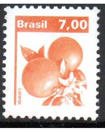 R606 Laranja 6165 Mint