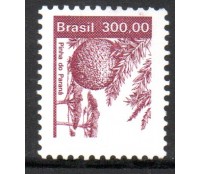 R628 Pinha do Paraná 6197 Novo