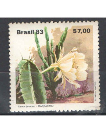 C1353 MANDACARÚ - M  FC06444