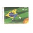 C2922  BRASIL 2009 - CARIMBADO - 6518